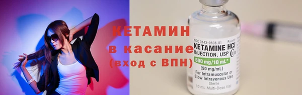 стафф Заводоуковск