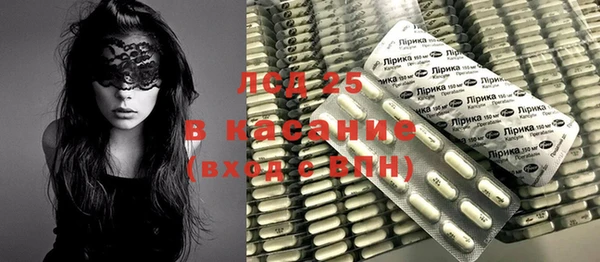 стафф Заводоуковск