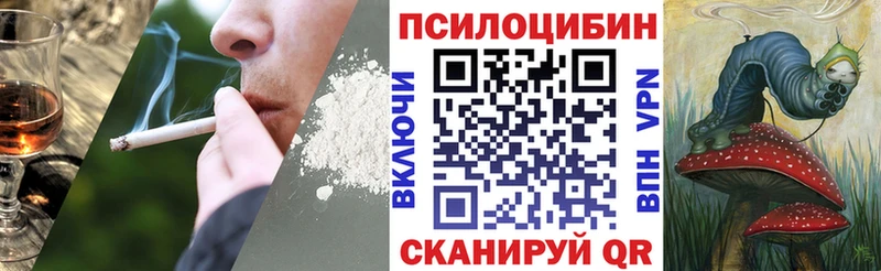 Псилоцибиновые грибы Magic Shrooms  blacksprut сайт  darknet официальный сайт  Касимов 